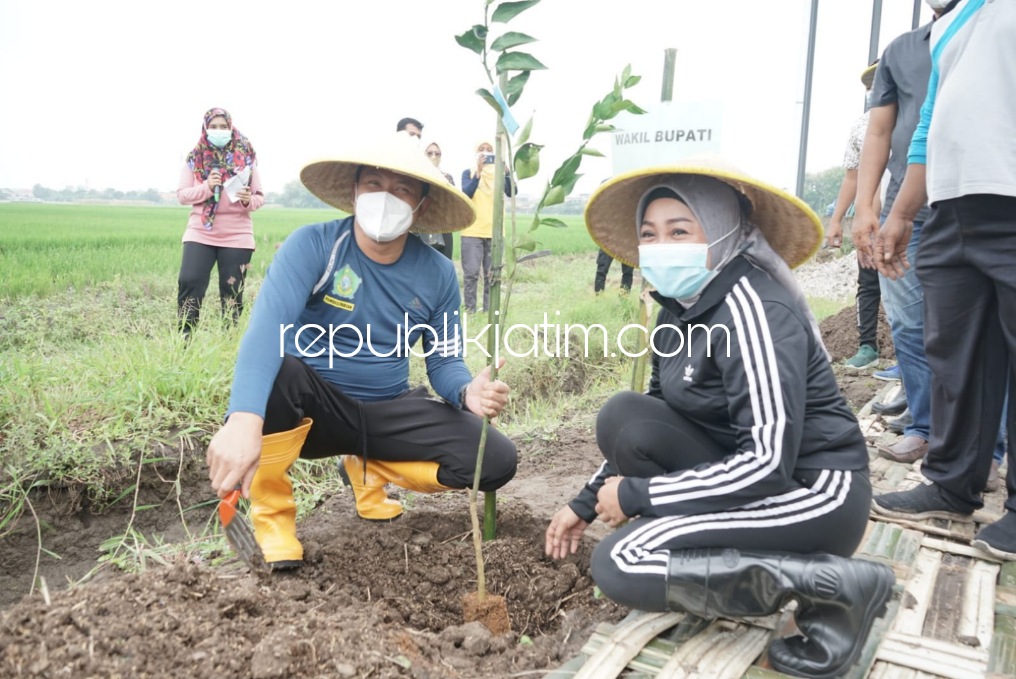 Pabean Sedati Tanam 500 Bibit Pohon Jeruk Siem di Lahan TKD 2 Hektar untuk Pembibitan