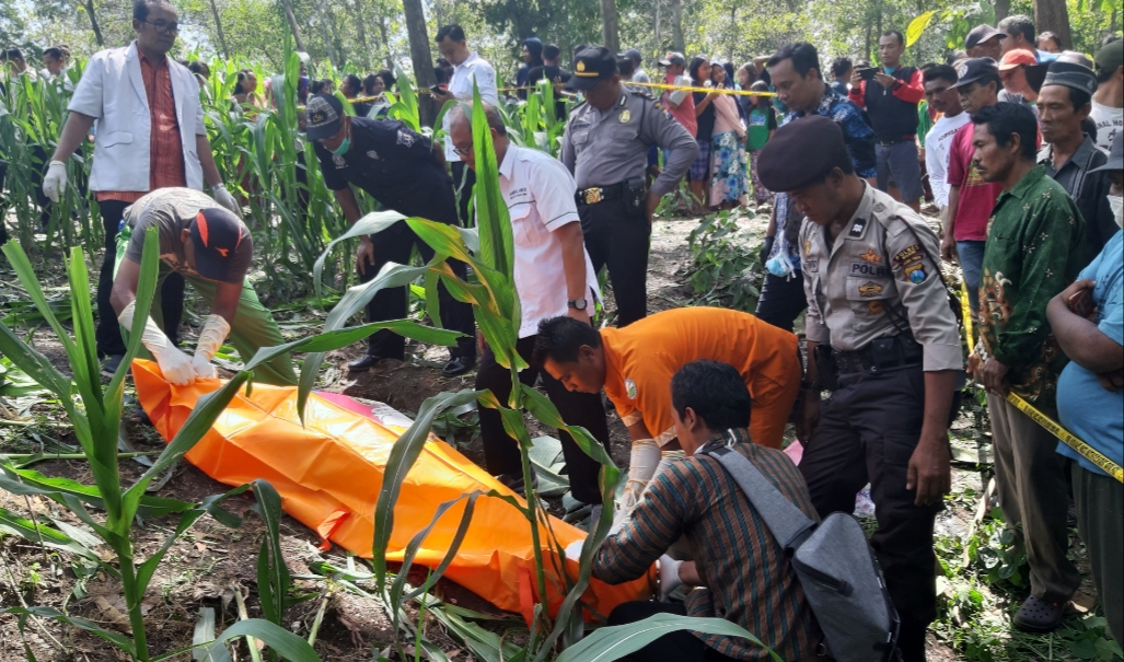 Diduga Korban Pembunuhan, Mayat Wanita Bugil Ditemukan di Ladang Jagung