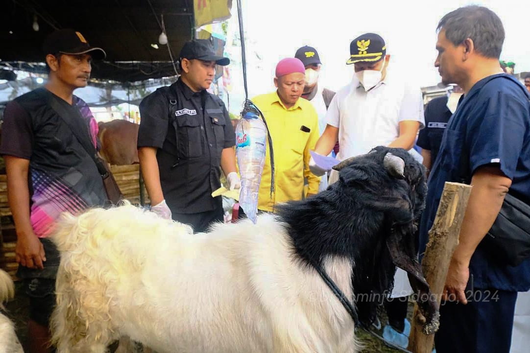 Dinas Pangan dan Pertanian Pastikan Hewan Kurban di Sidoarjo Sehat dan Aman Dikonsumsi