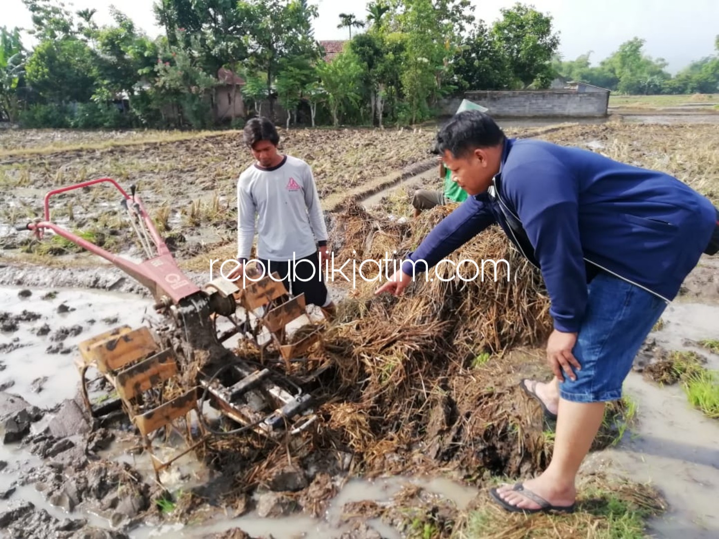 Ditinggal di Sawah, Mesin Diesel Traktor Digondol Kawanan Pencuri