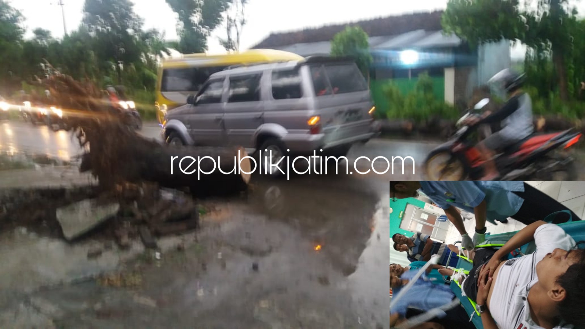 Pengendara Vixion di Ponorogo Tertimpa Pohon Tumbang Dilarikan Rumah Sakit