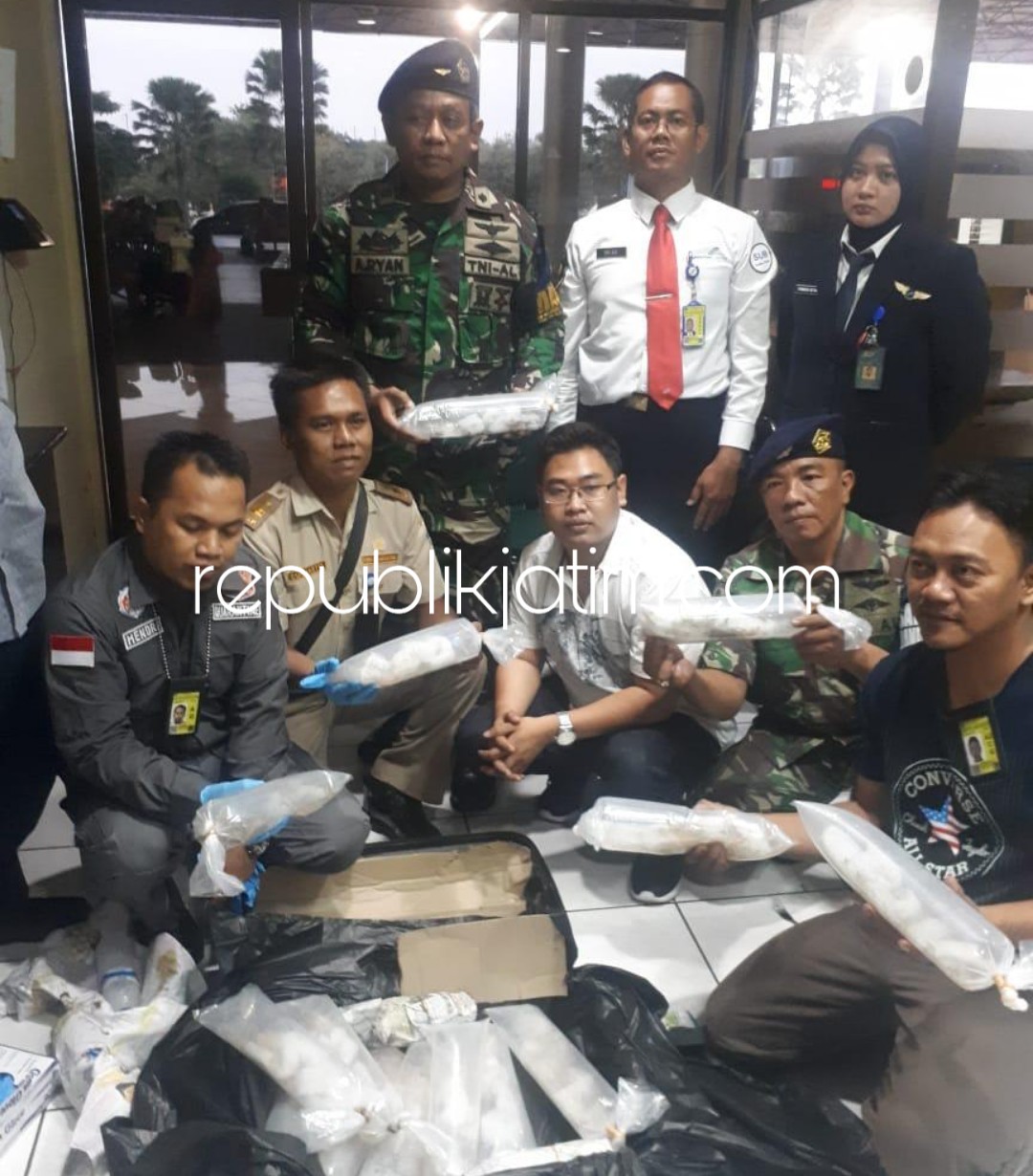 Satgaspam Bandara Juanda Gagalkan Penyelundupan Ribuan Benih Lobster ke Singapura