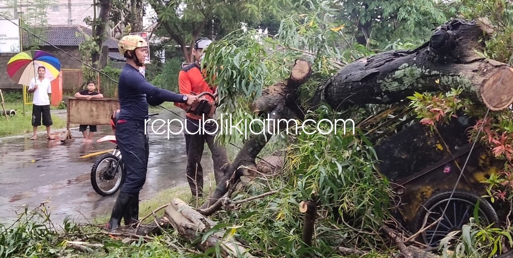 Hujan Disertai Angin Kencang di Ponorogo Tumbangkan Pohon Tutup Jalan Raya 