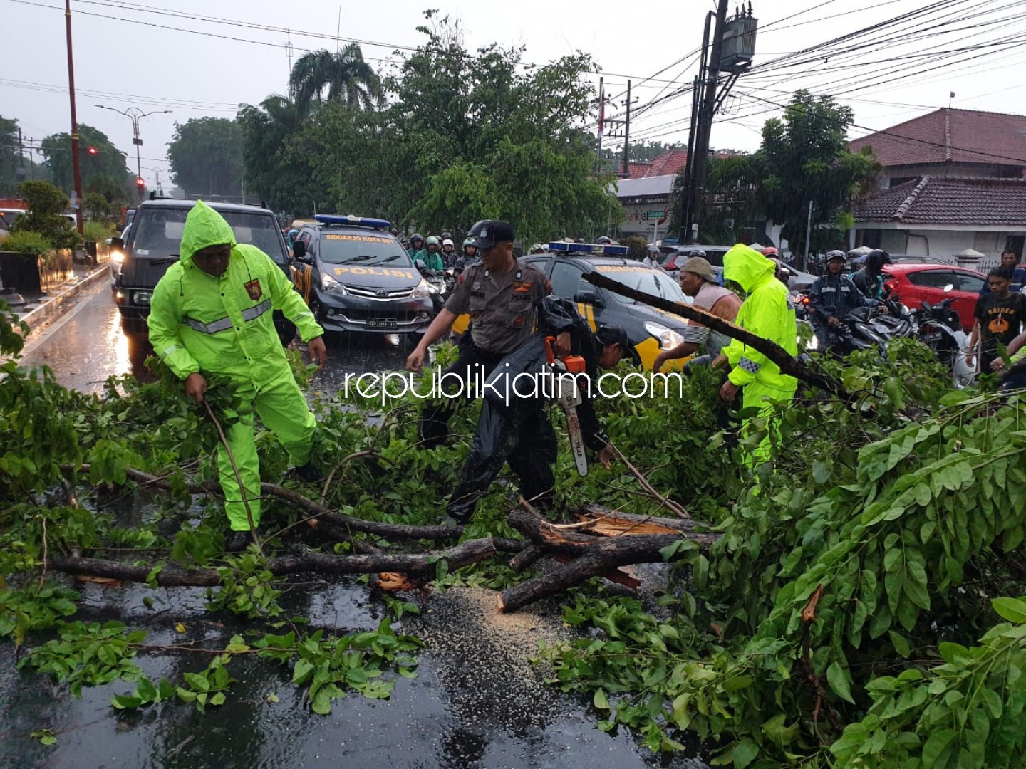 Pohon Tumbang Timpa 4 Pengendara Motor dan Mobil, Korban Terluka Dilarikan RSUD Sidoarjo