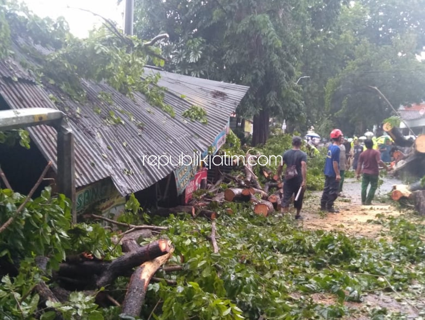 Inilah Daftar Korban Terluka Tertimpa Pohon Tumbang di Sidoarjo