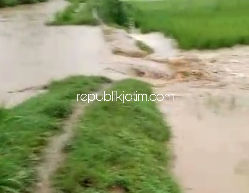 Tanggul Sungai Meluap, Puluhan Hektar Tanaman Padi di Ponorogo Diterjang Banjir