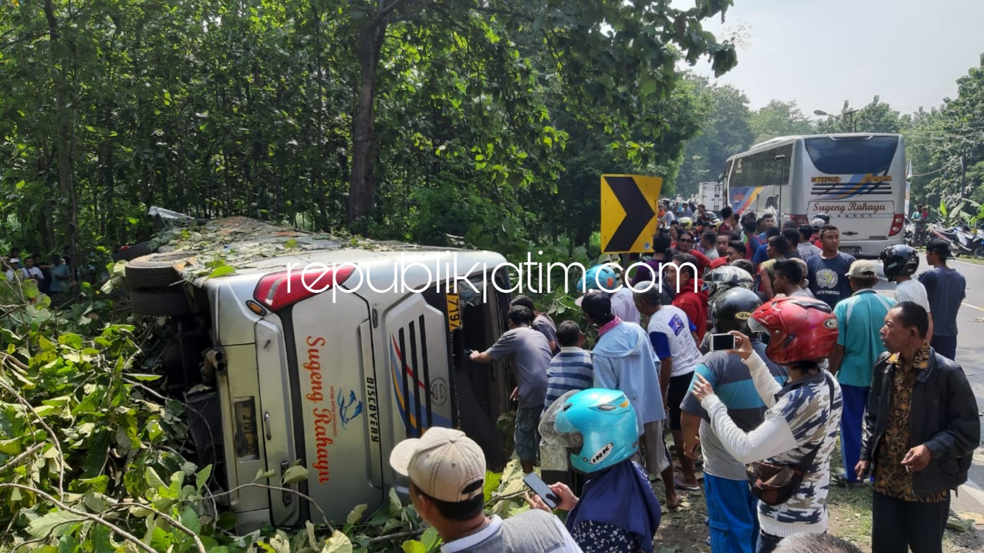 Hendak Mendahului Truk di Tikungan, Bus Sugeng Rahayu Terguling 13 Terluka