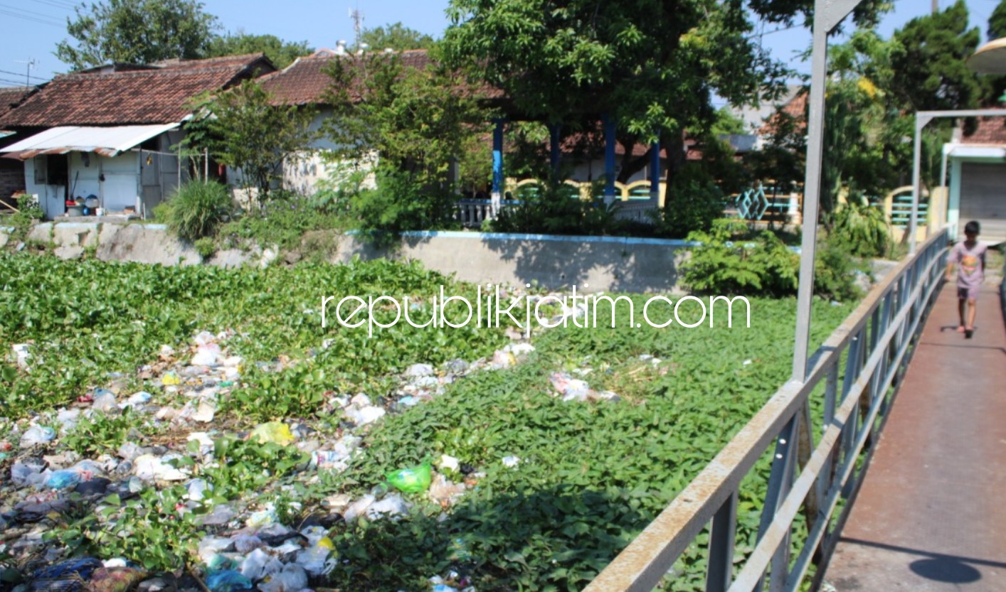 Warga Keluhkan Tumpukan Enceng Gondok dan Sampah di Sungai Ngaban Tanggulangin