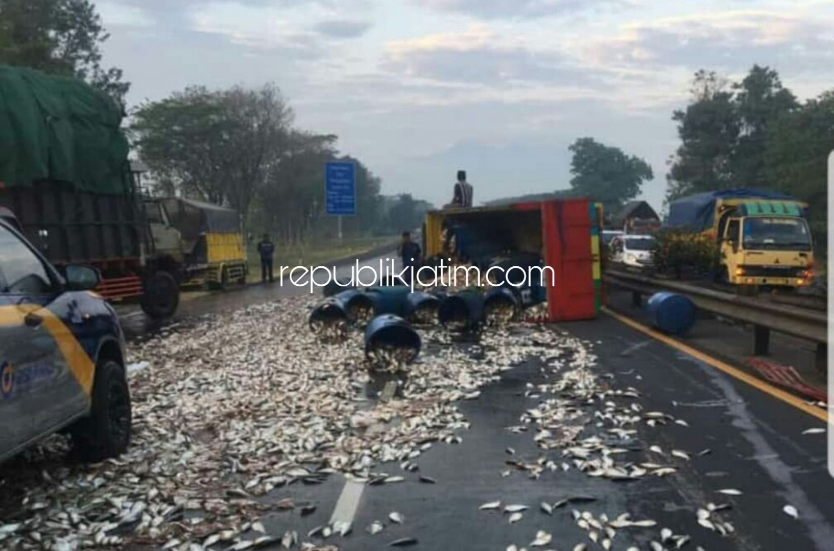 Truk Muatan Ikan Mujaer Terguling Tutup Jalan Tol Porong