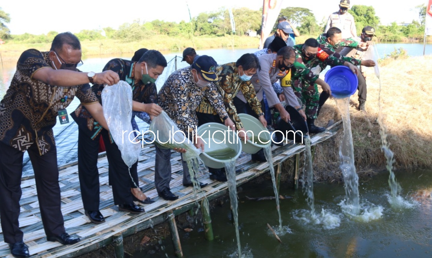 Tingkatkan Ketahanan Pangan, Forkopimda Sidoarjo Panen dan Tabur 5.000 Benih Bandeng