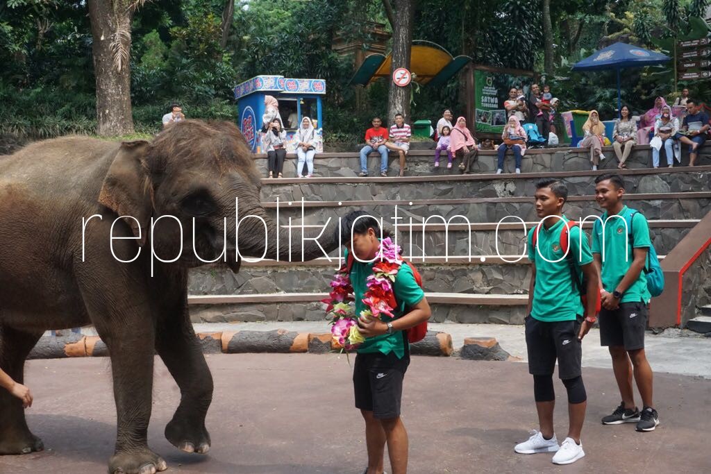 Dekati Fans, Timnas U-16 Meet and Greet di Taman Safari