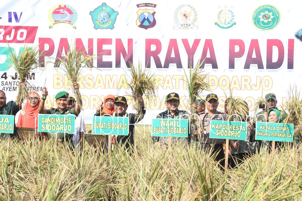 Pemkab Sidoarjo Targetkan Tanam Padi Seluas 15.354 Hektar