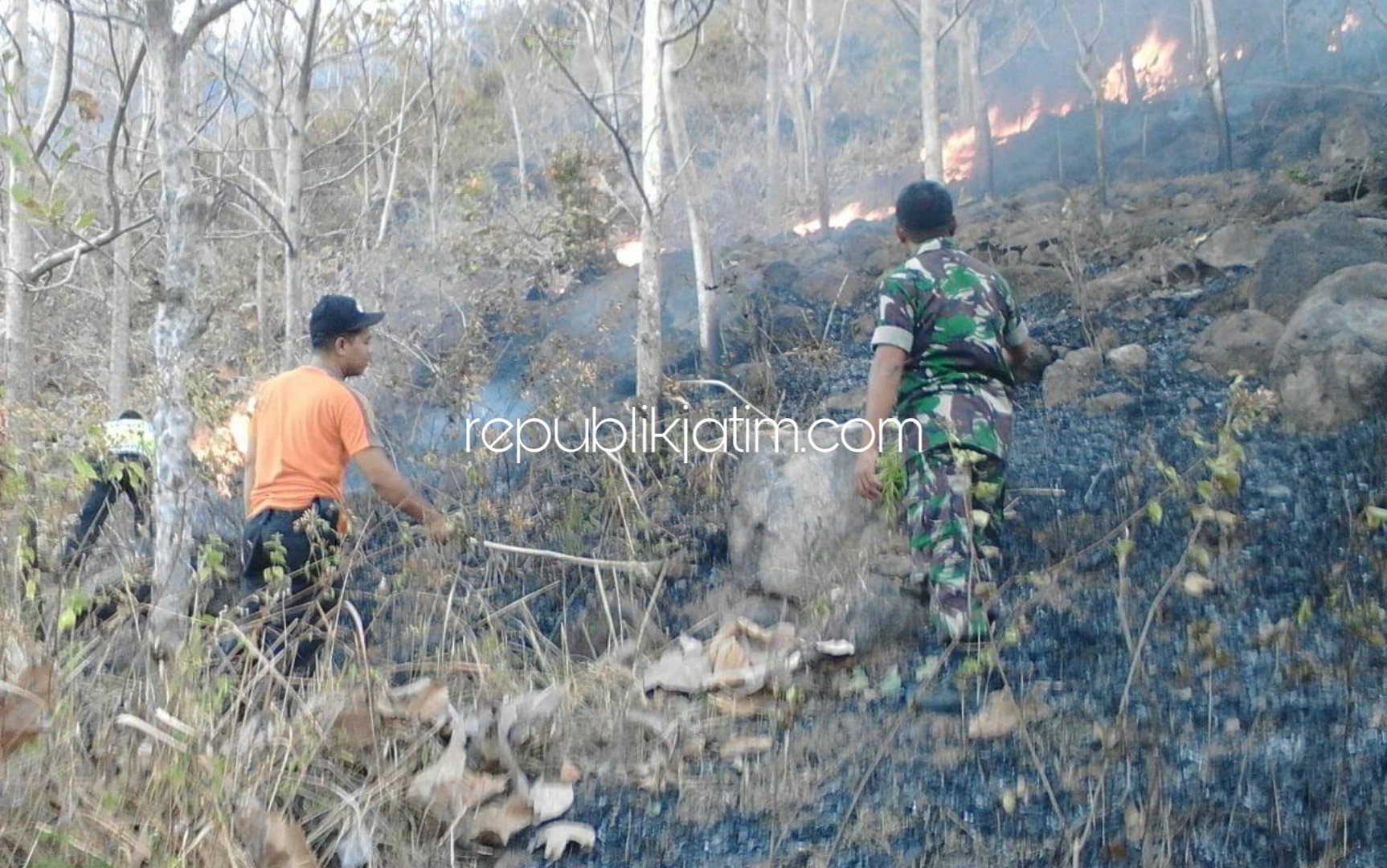 Lima Hektar Hutan Jati di Ponorogo Ludes Terbakar