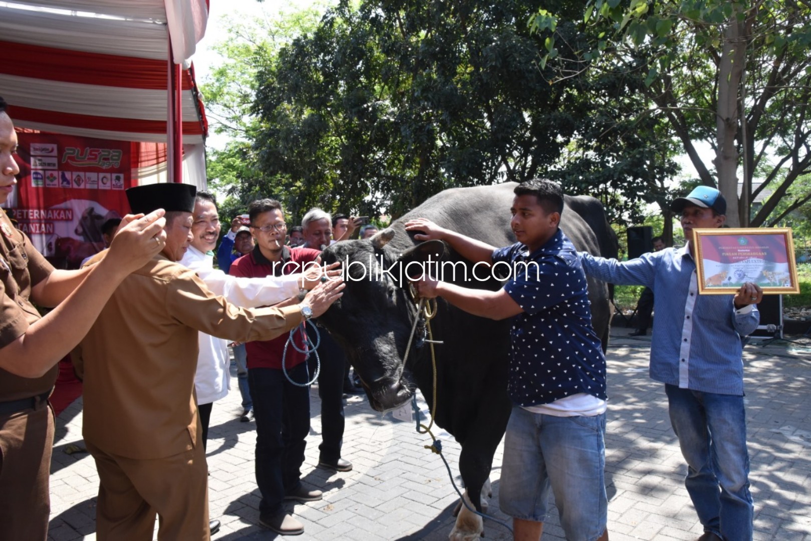 Sapi Pemenang Dihargai Rp 100 Juta, Kontes Ternak Siapkan Hewan Kurban dan Ubsus Siwab