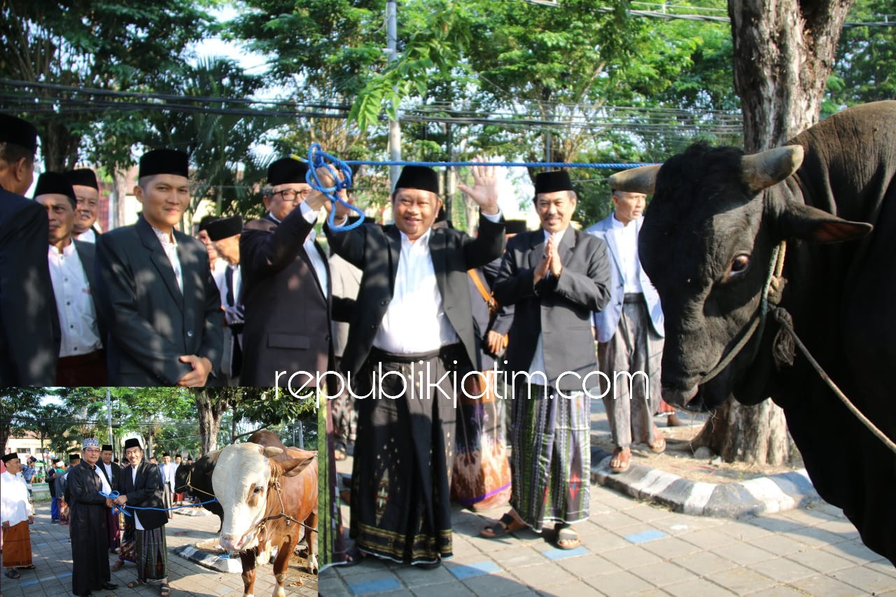 Bupati dan Wabup Sidoarjo Kurban Sapi Seberat Hampir 1 Ton