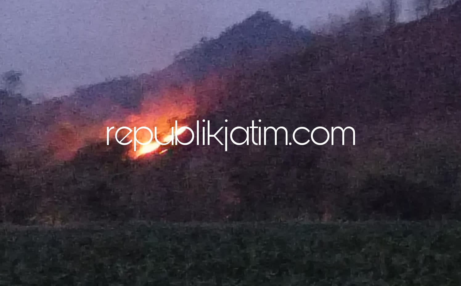 Lahan Jati Di Gunung Bonjing Ponorogo Mulai Terbakar