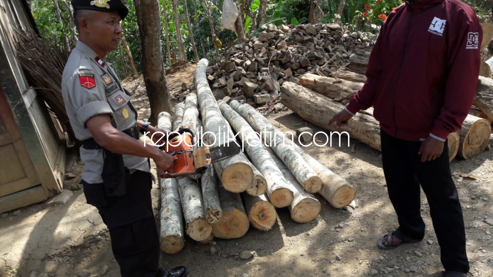 Tebang 4 Pohon Sengon Laut, Tukang Kayu Asal Pacitan Dibui