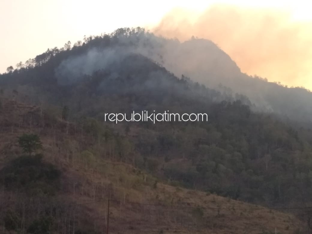 Hutan Gunung Gedhe Ponorogo Ludes Terbakar