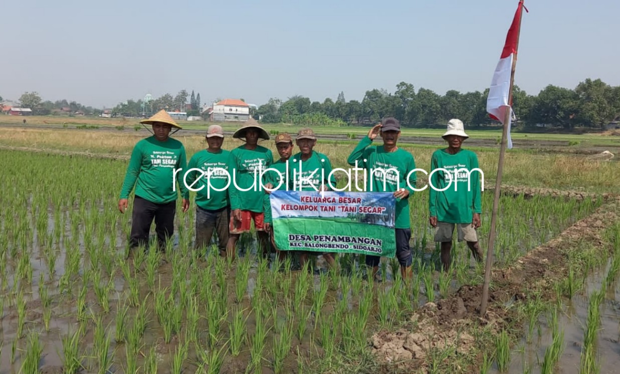 Hari Tani Nasional, Ketua Poktan Tani Segar Penambangan Sidoarjo Berharap Stabilitas Harga Gabah