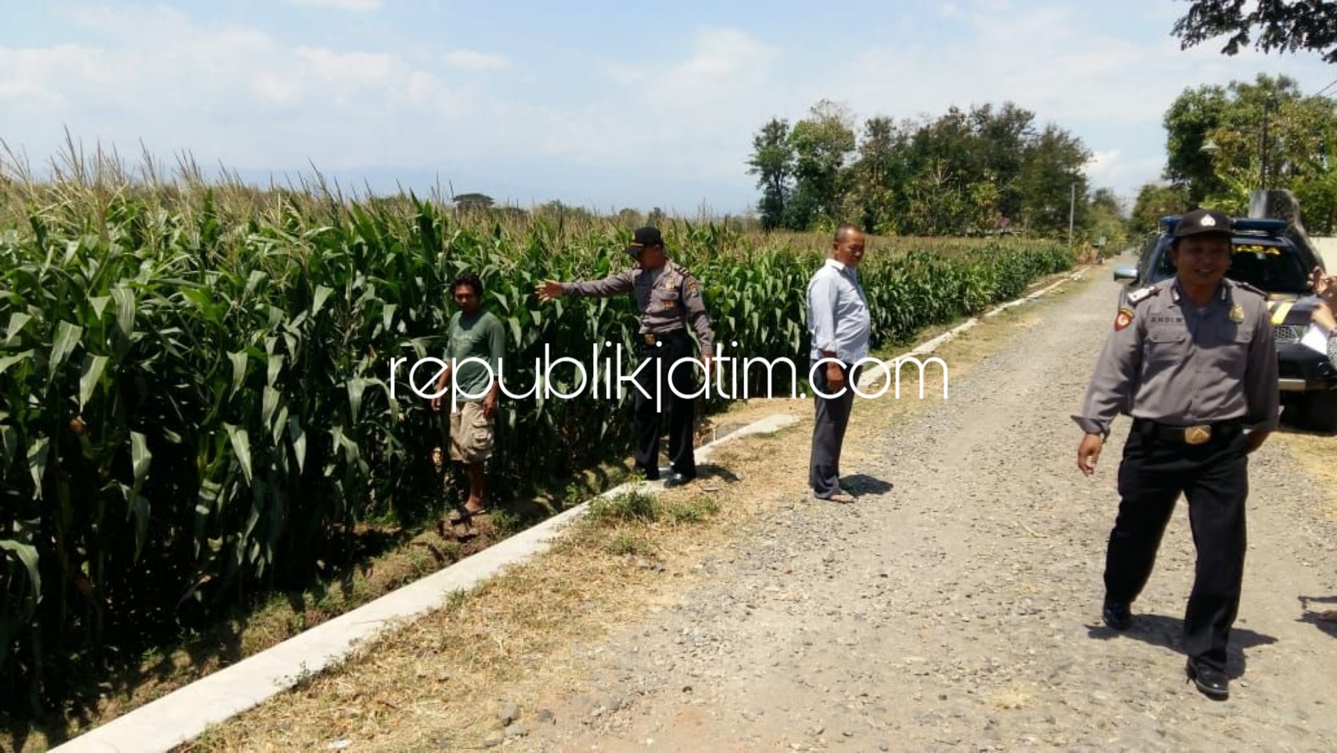 Ditinggal Mengairi Sawah, Motor Hilang Digondol Pencuri