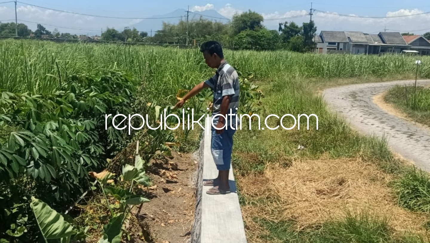 Polisi Kantongi Identitas Begal Motor dan HP di Persawahan Anggaswangi Sukodono