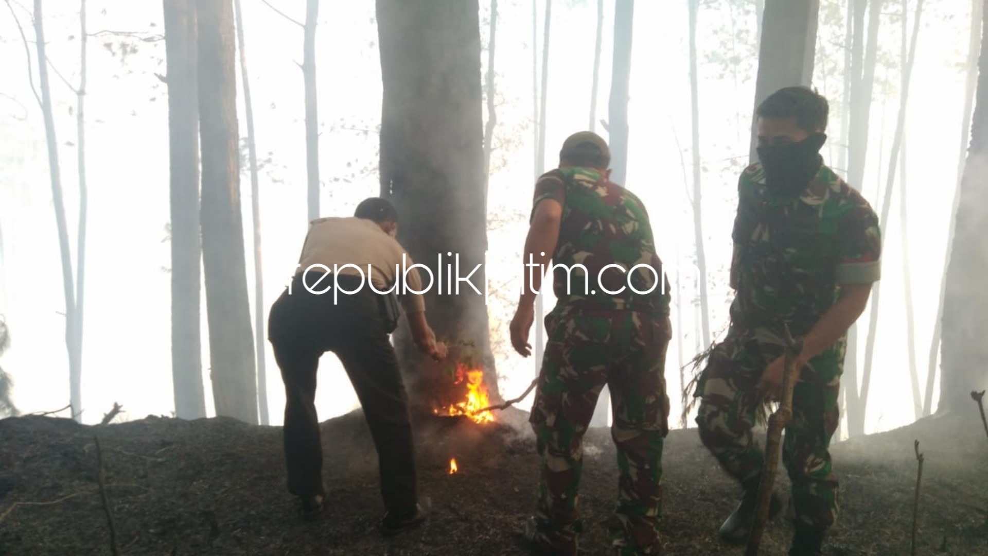 Empat Jam Api Ludeskan Hutan Pinus di Ponorogo