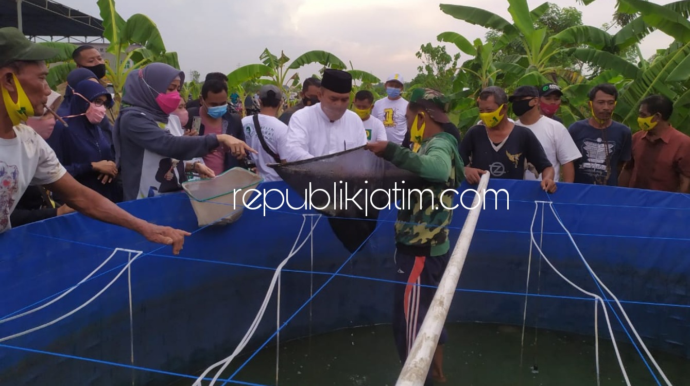 Panen Mujair di Banjarkemantren, BHS - Taufiq Siap Wujudkan Ketahanan Pangan di Sidoarjo