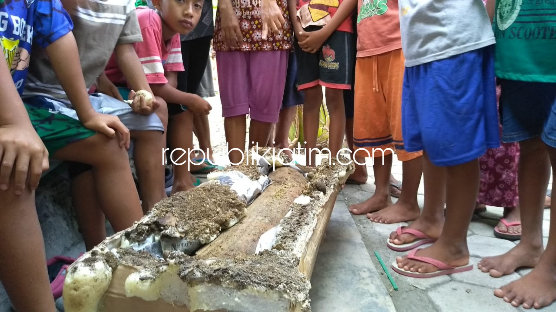 Gali Septitank, Warga Ngawi Temukan Gading Gajah Purba