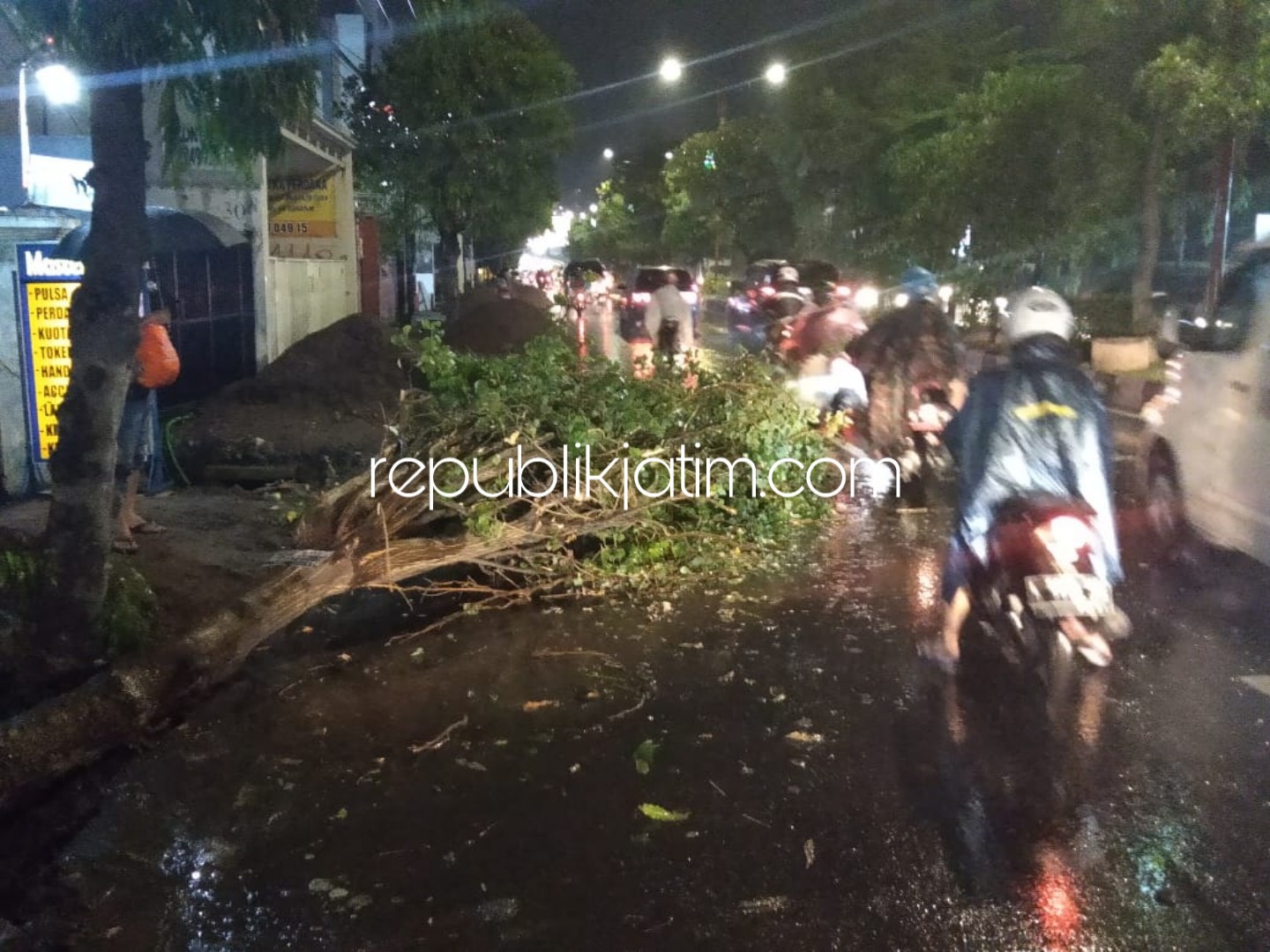 Pohon Ambruk Timpa Dua Pengendara Motor Hingga Terluka