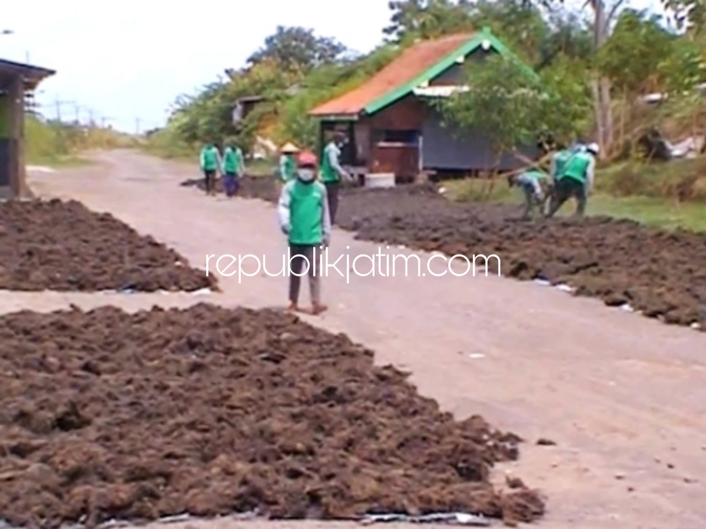 Produksi Turun 50 Persen, Petani Rumput Laut Sidoarjo Keluhkan Proses Pengeringan