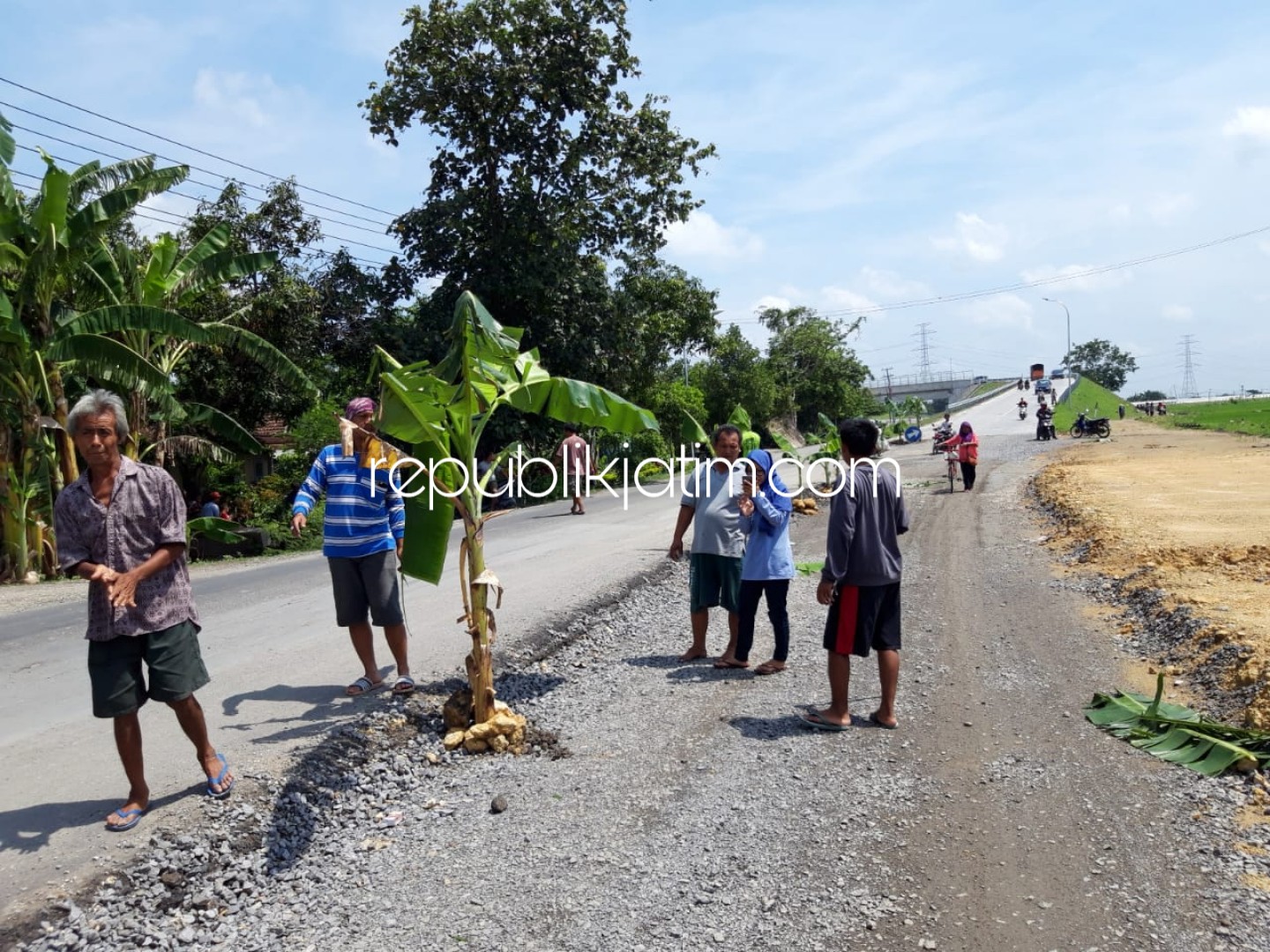 Protes, Warga Tanami Pohon Pisang Jalan Utama Menuju Overpass Tol Ngawi - Solo