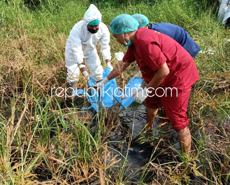 Pencari Cacing Temukan Mayat Pria Tanpa Identitas, Badan dan Kepala Korban Terpisah