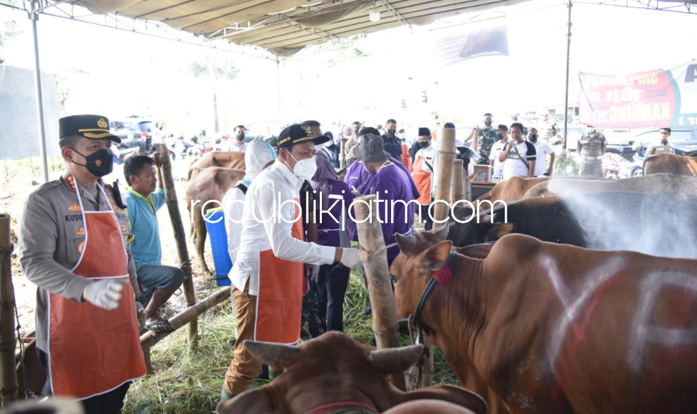 Pastikan Kesehatan, Pemkab Sidoarjo Sediakan Lapak Resmi Penjualan Hewan Kurban Bagi Pedagang