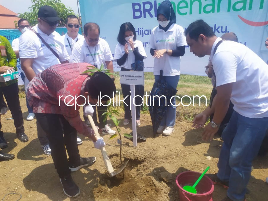 Minimalisir Efek Rumah Kaca, 3 Kanca BRI Kompak Tanam 9.903 Pohon Ajak Puluhan Kades se Sidoarjo di Tulangan