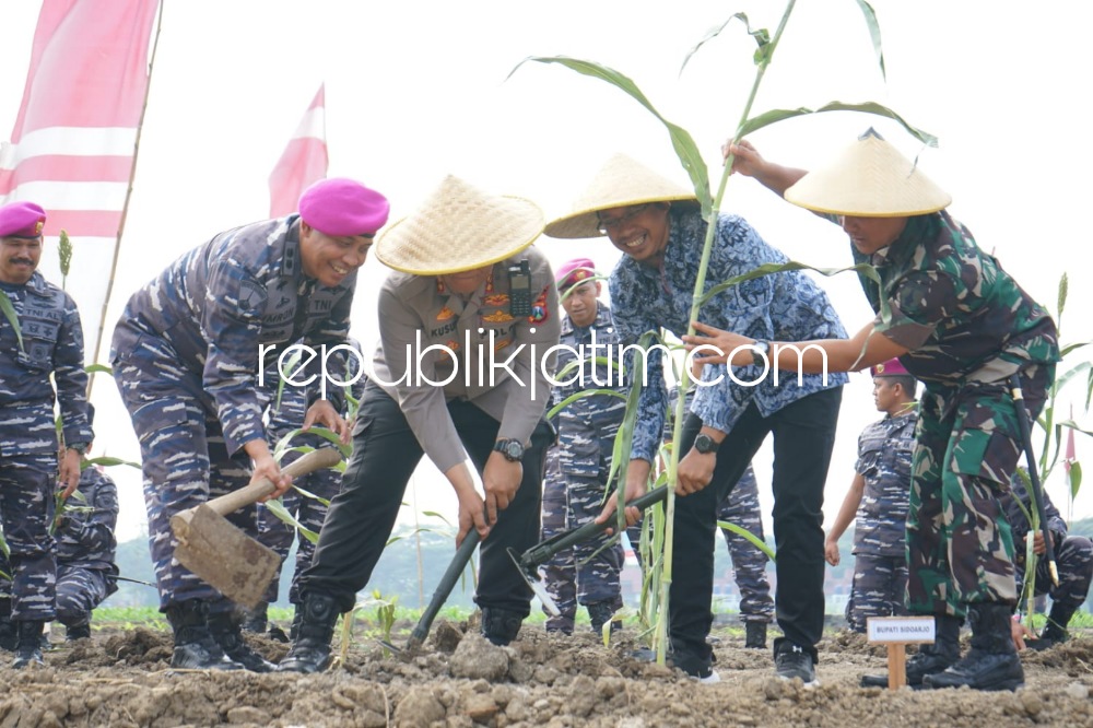 Jaga Ketahanan Pangan Nasional 2022, Bupati Sidoarjo dan Pasmar 2 Gedangan Tanam Pohon Sorgum dan Jagung Hibrida