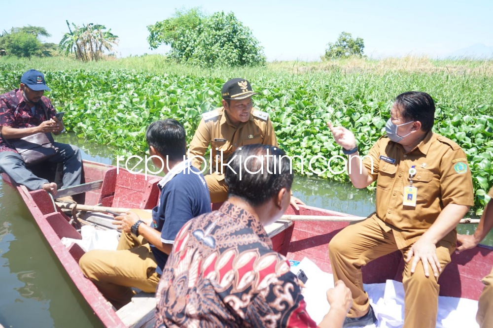 Viral Dipenuhi Enceng Gondok, Wabup Sidoarjo Minta Dinas PUBM dan SDA Bersihkan Sungai Tambakrejo Waru