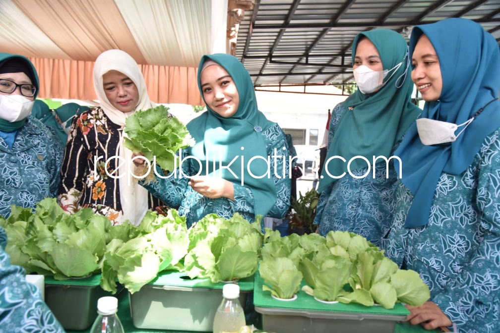 Dukung Ketahanan Pangan, Ratusan Ibu-Ibu di Sidoarjo Dilatih Bercocok Tanam Sistem Hidroponik