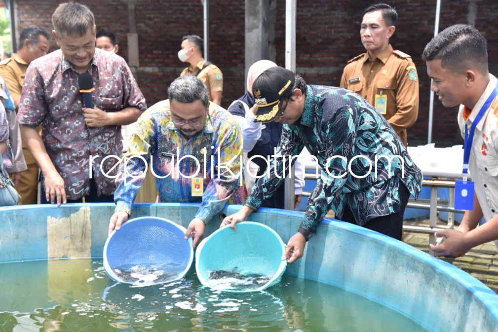 Tebar Ribuan Benih Lele, Gus Muhdlor Yakin Budidaya Ikan Jadi Alternatif Pemenuhan Kebutuhan Pangan Keluarga