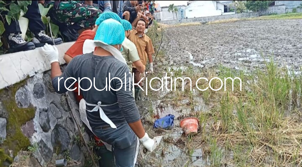 Pembajak Sawah di Siwalanpanji Buduran Temukan Mayat Bayi Laki-Laki Dibuang di Area Persawahan