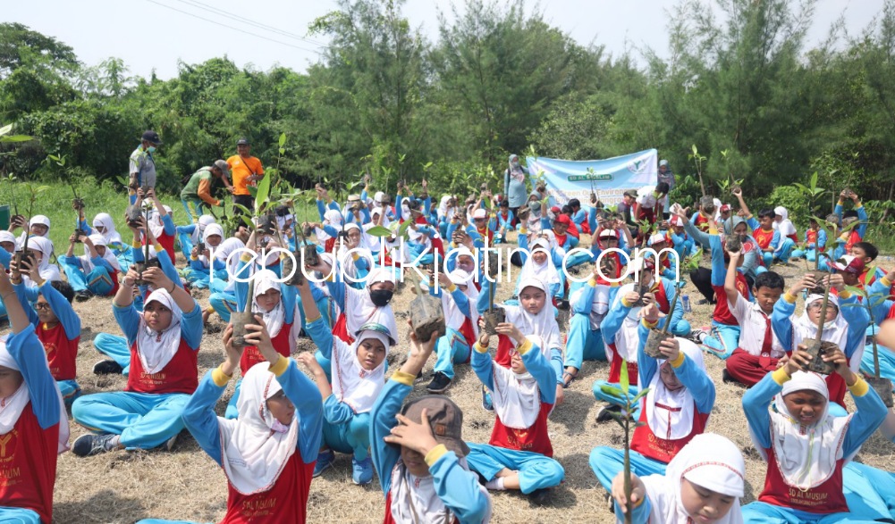 Jaga Kelestarian Lingkungan, Siswa SD Al Muslim Kompak Tanam Pohon Mangrove di Pesisir Pantai Surabaya