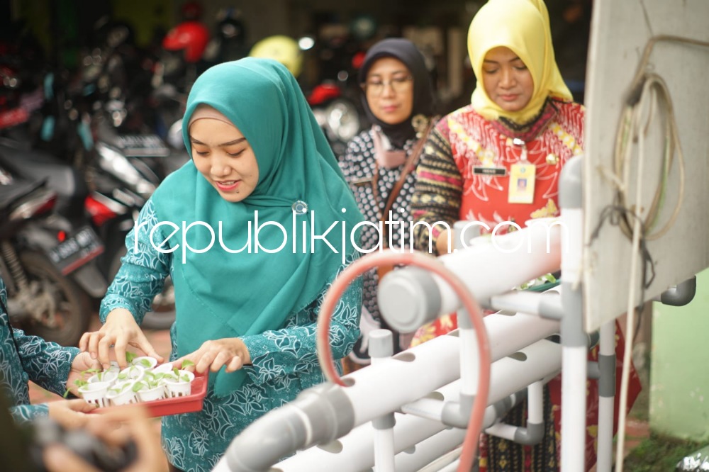 Dukung Ketahanan Pangan, Ibu-Ibu di Sidoarjo Diajak Manfaatkan Lahan Pekarangan Kosong untuk Tanam Sayuran