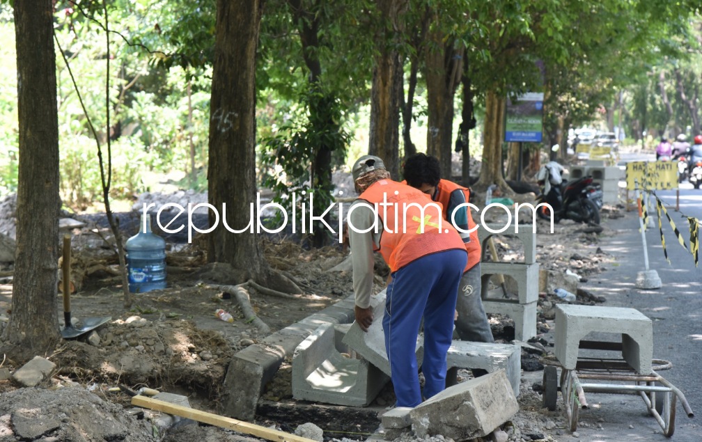 Pemkab Sidoarjo Mulai Percantik Trotoar Jalan Lingkar Barat Sepanjang 1,2 Kilometer dari Kali Pucang - Pintu GOR