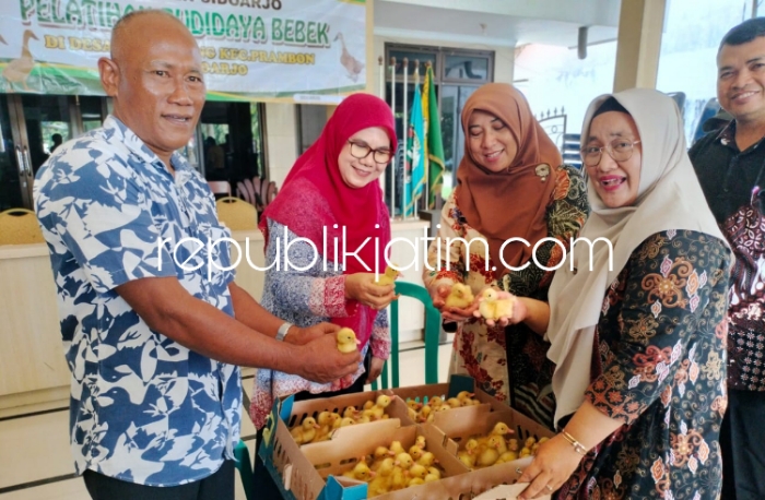 Pemkab Sidoarjo Latih Budidaya Bebek Pedaging dan Beri Anakan Bebek Peking Bagi Gapoktan Prambon