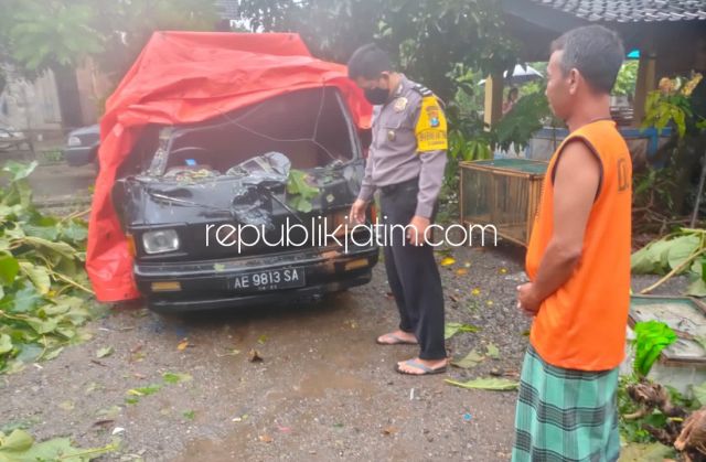 Empat Rumah Dan Mobil Warga Ponorogo Rusak Tertimpa Pohon Tumbang, Kerugian Capai Puluhan Juta