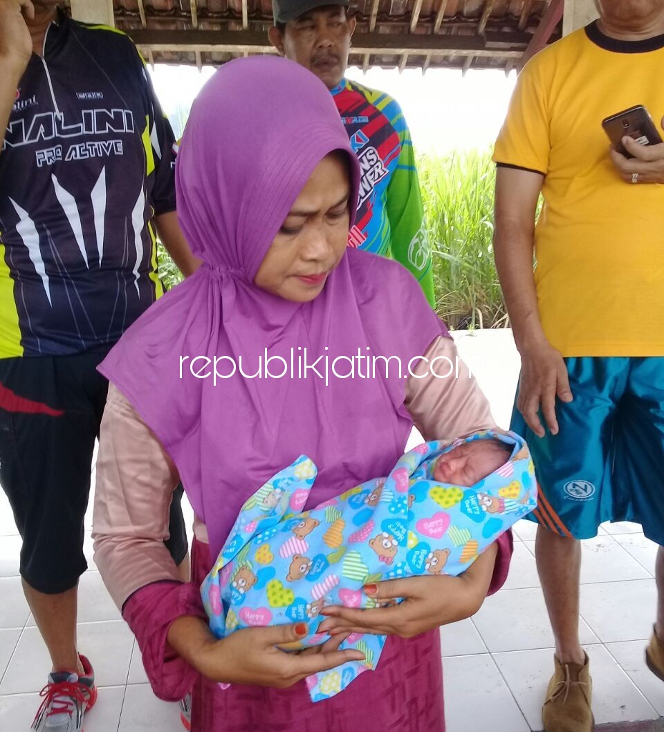 Bayi Laki-Laki Dibuang di Ganggangpanjang Dikerumuni Kucing