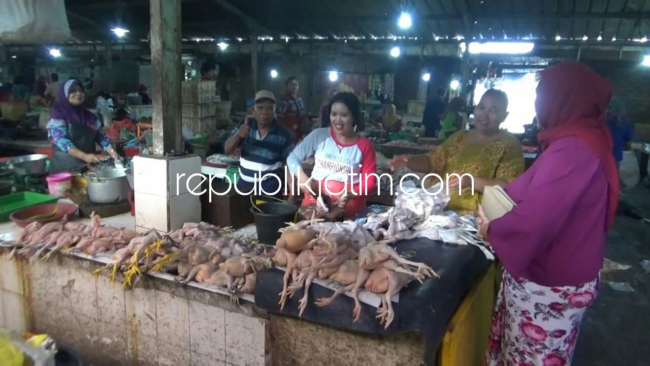 Makin Langkah, Harga Ayam Potong Tembus Rp 45.000 Ayam Kampung Rp 60.000 Per Kilogram